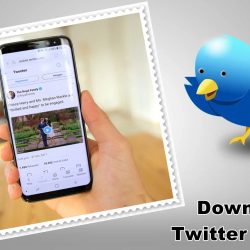 Twitter Video Downloader