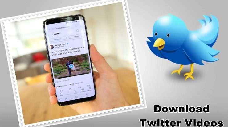 Twitter Video Downloader